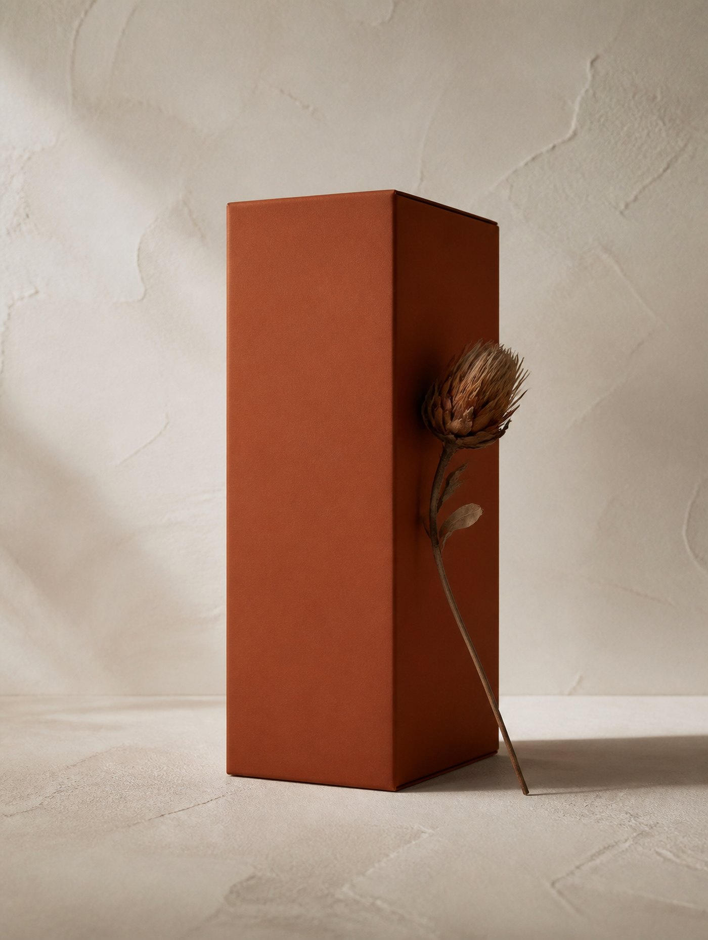 Project Two, image 1. A packaging mood — terracotta, twine and shelf light.